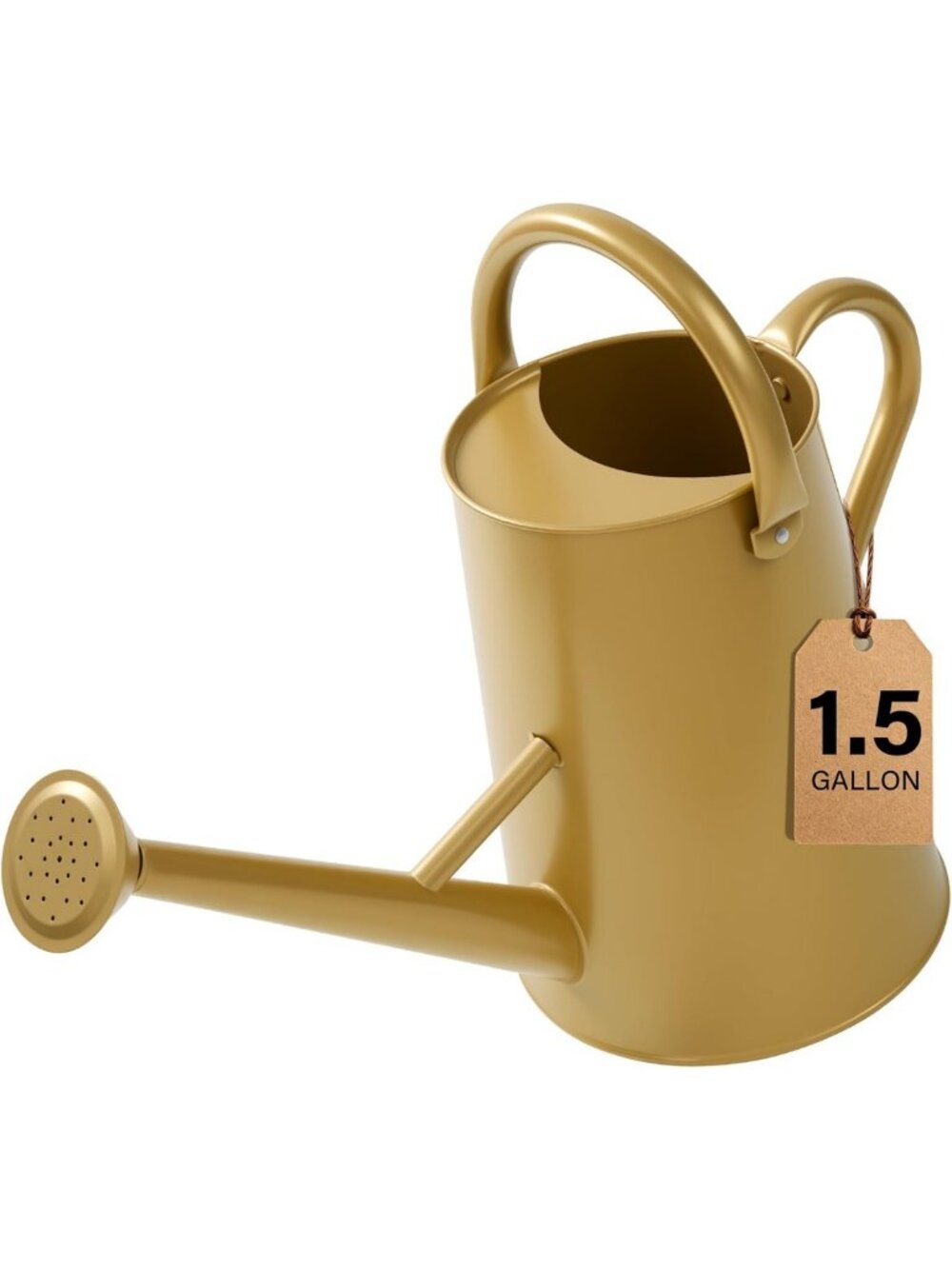 Stylish Gold Watering Can for Indoor & Outdoor Plants - 1.5 Gallon Capacity